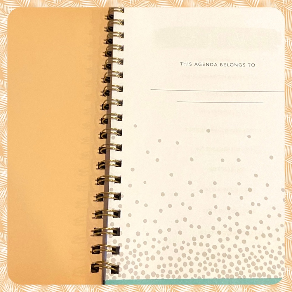 Planner Weekly & Monthly 2020-2021 - Picture 2 of 15